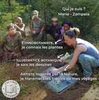 Le Cahier