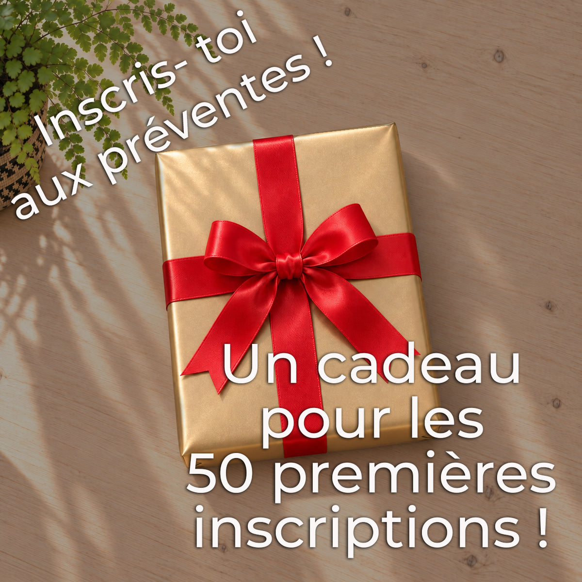 Le Cahier